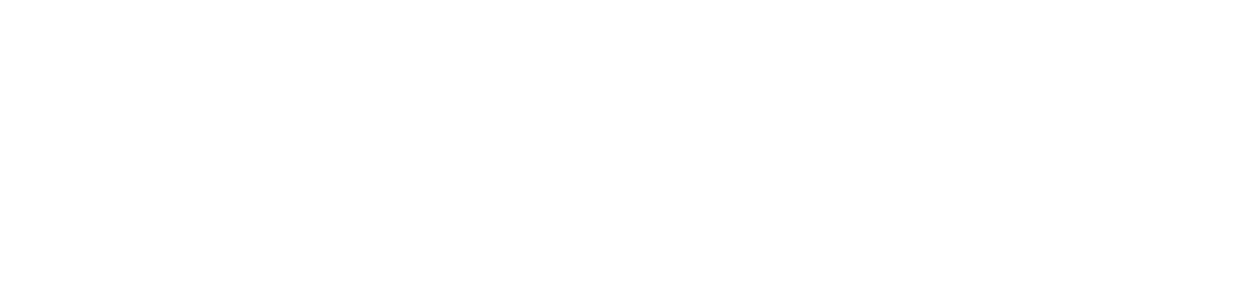 AMD-logo_WHITE AMD